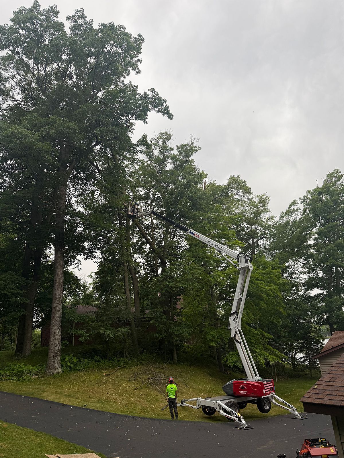 Worker on a cherry picker trimming tall trees beside a road under a cloudy sky