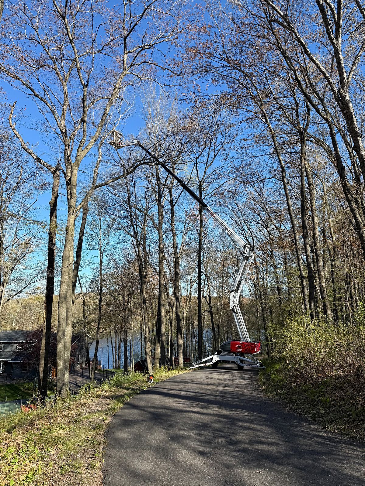 Winding paved path through bare trees beside a lake, with a red car parked ahead on a sunny day