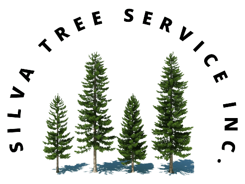Silva Tree Service Inc logo