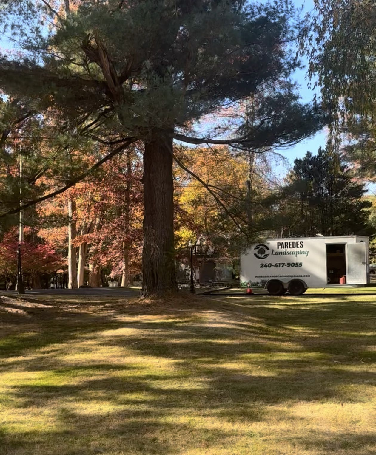 Large tree in a grassy field with a trailer parked underneath. Fall foliage in the background.