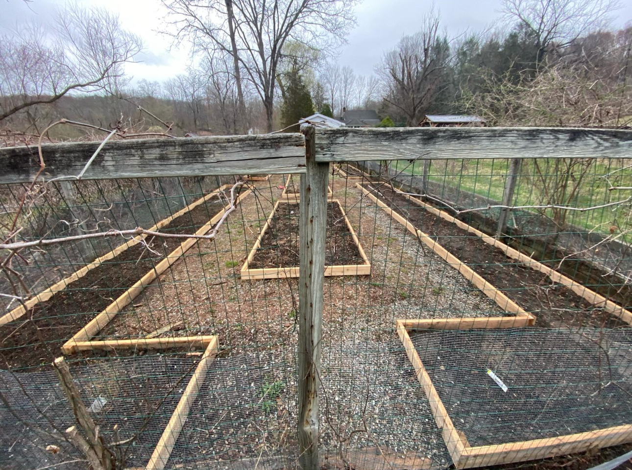 Raised garden beds inside a wooden fenced enclosure, viewed from above, with trees in the background.
