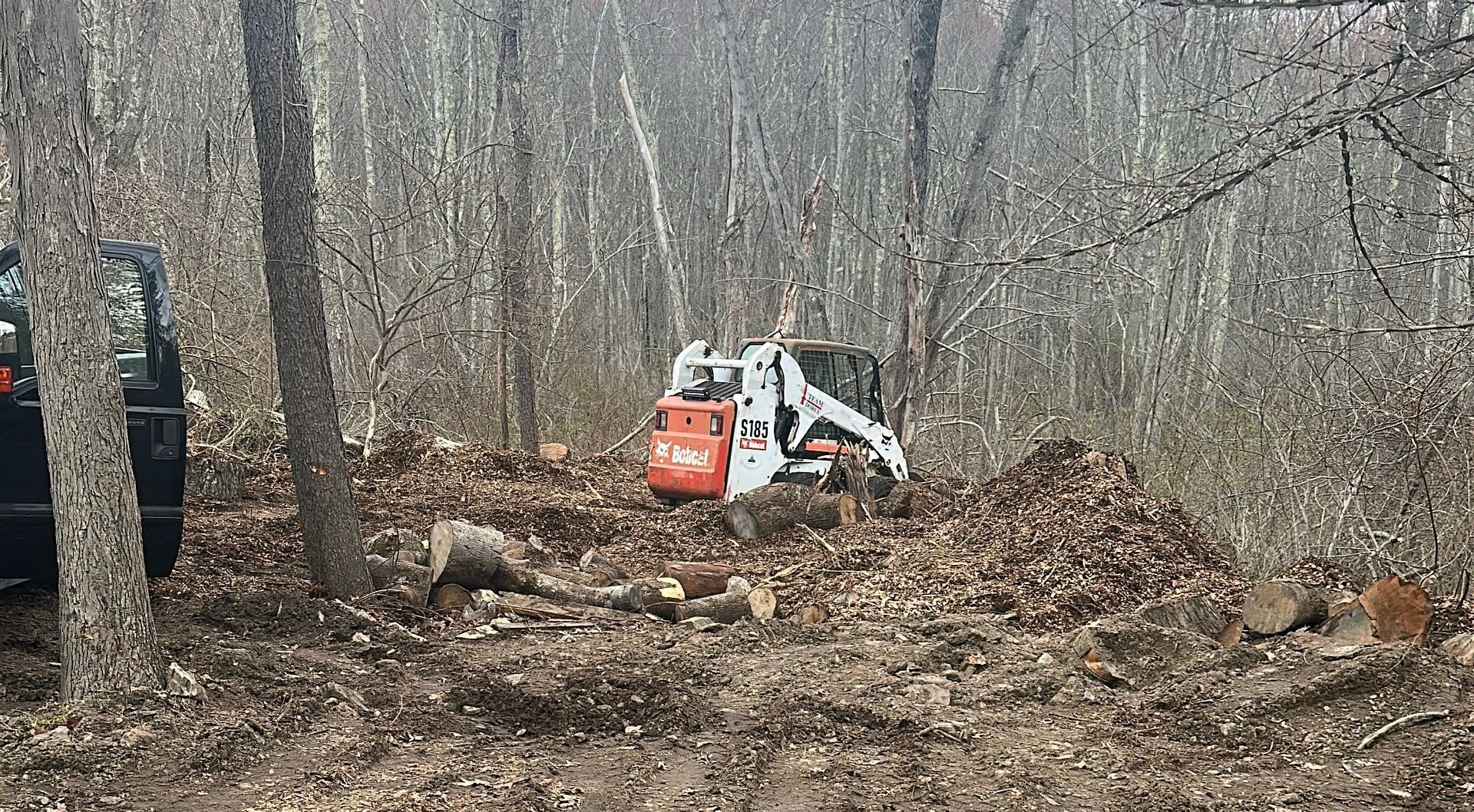 Bobcat skid steer in a wooded area surrounded by leaves and trees.