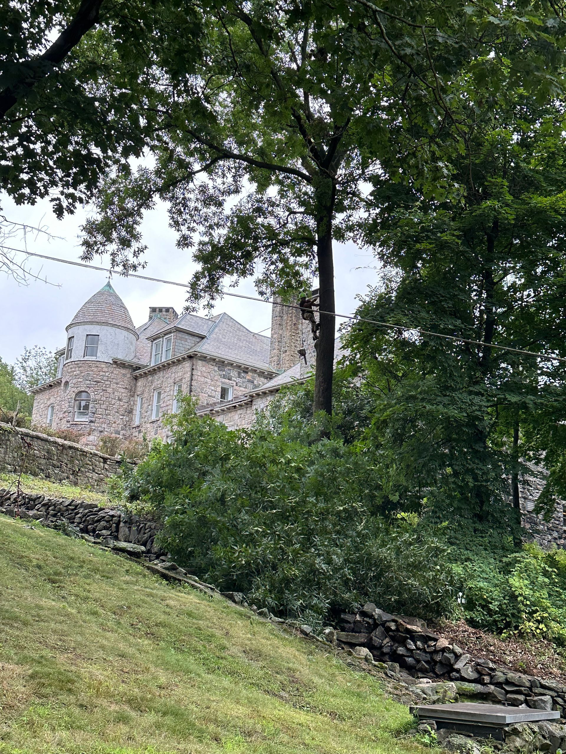 Stone castle on a hill, partially obscured by trees and greenery. Overcast sky.