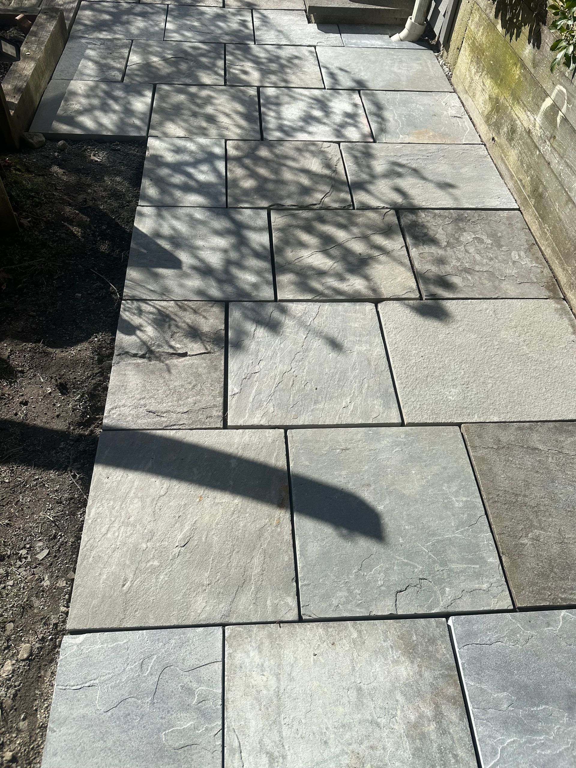 Stone pavers form a walkway, casting shadows. Dark soil to the left, a wall to the right.