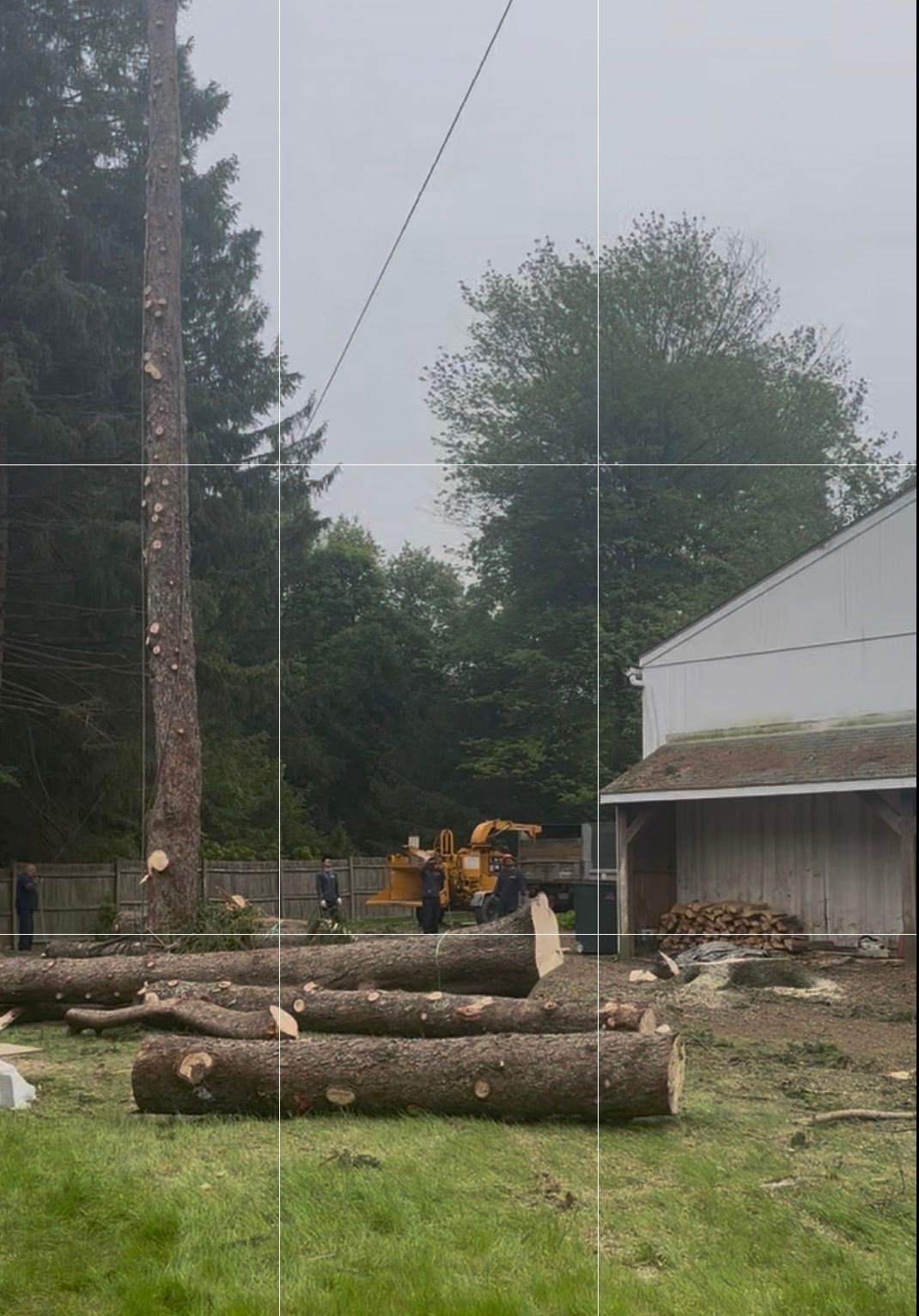 Tree being cut down near a building. Logs are on the ground. A wood chipper is in use.