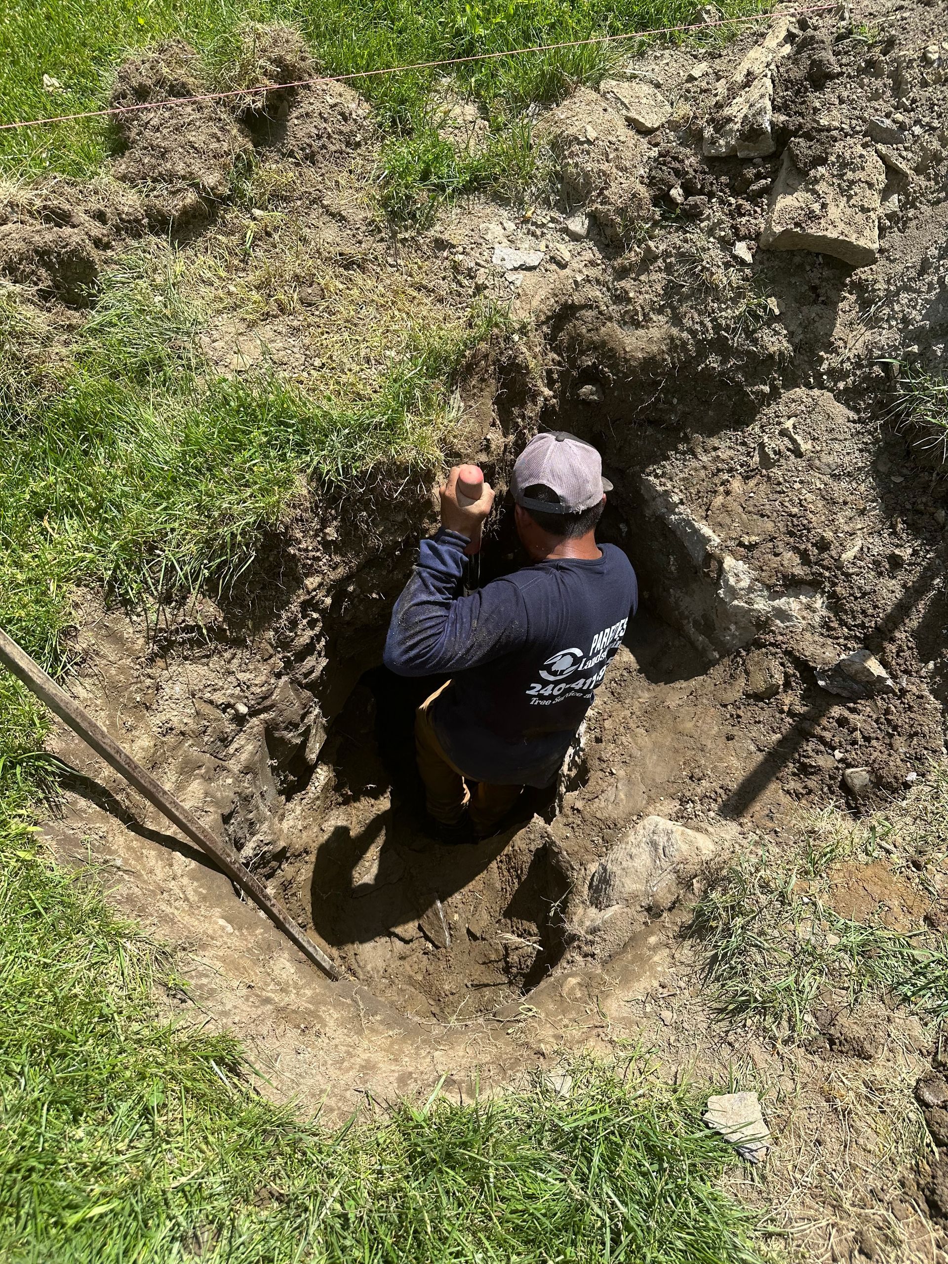 Person digging in a hole in the ground; surrounded by grass and dirt.
