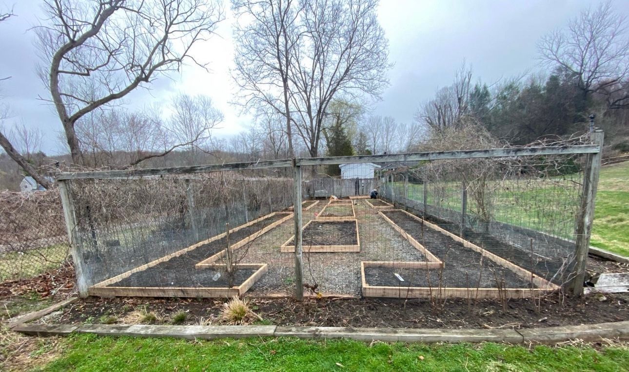 A garden bed framed by wood, wired fencing, and raised beds. Bare trees and overcast sky are in the background.