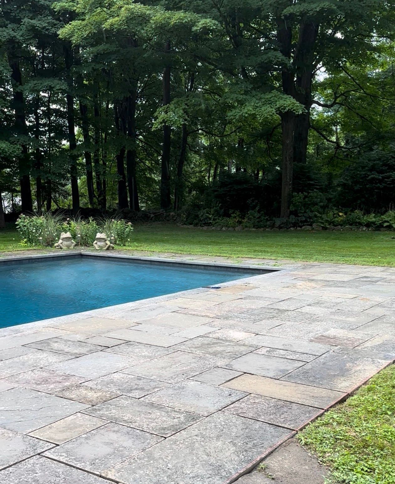 Poolside view: blue water, stone patio, green grass, and a forest backdrop.