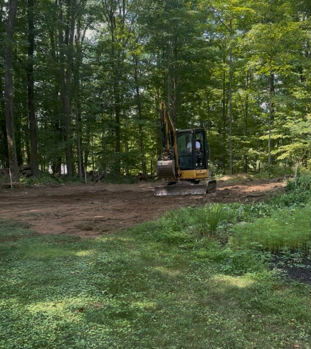 Yellow excavator on cleared land in a forest, operating during the day.
