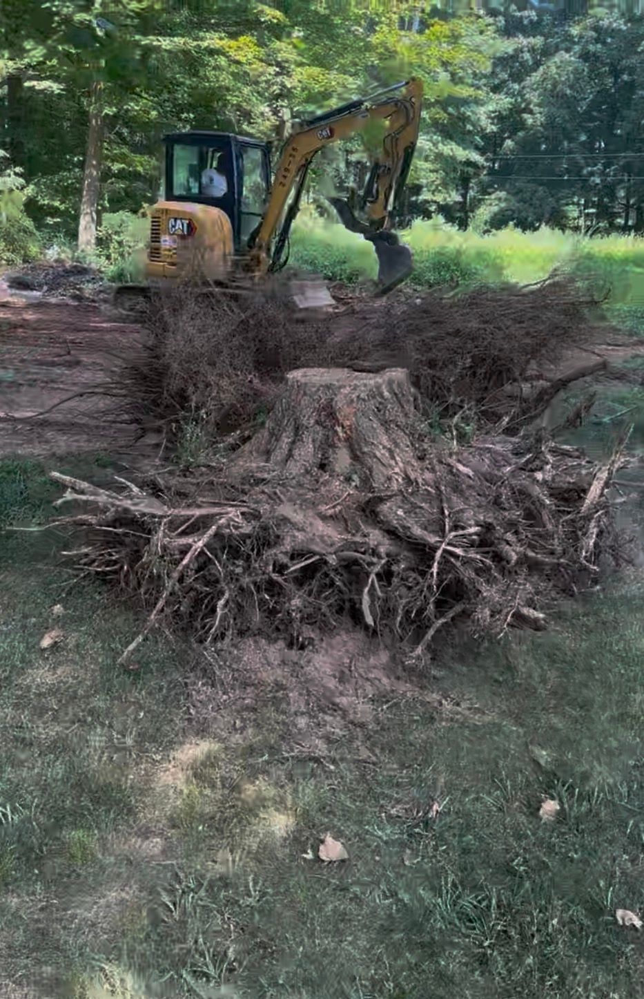 An excavator removing a tree stump with exposed roots in a grassy area.