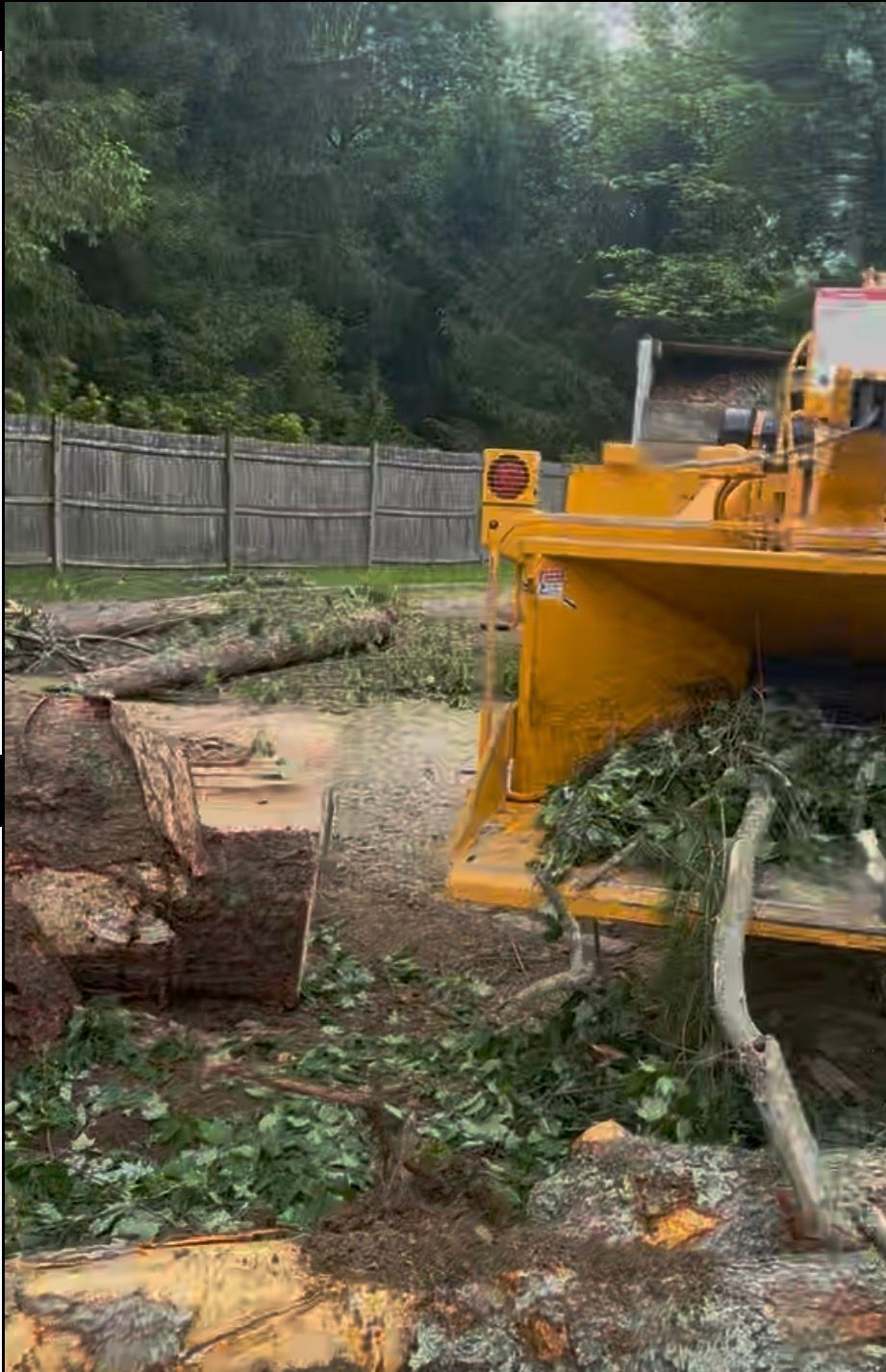 A wood chipper processes branches and debris near a large tree trunk. Yard setting.