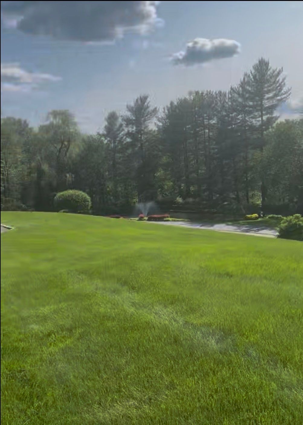 Green lawn with trees and a small fire burning in the distance on a sunny day.