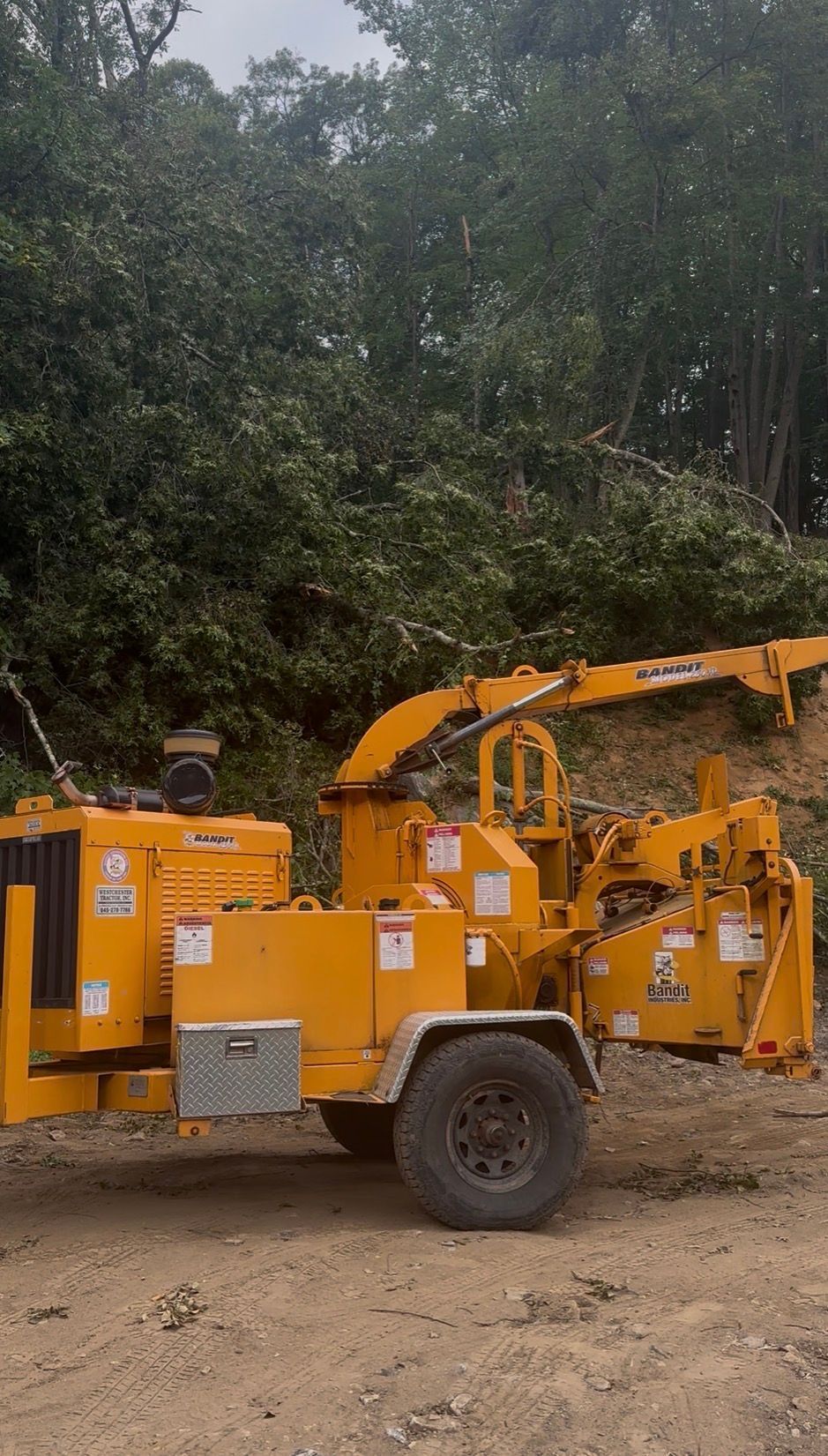 Yellow wood chipper on a trailer, processing branches in a wooded area.