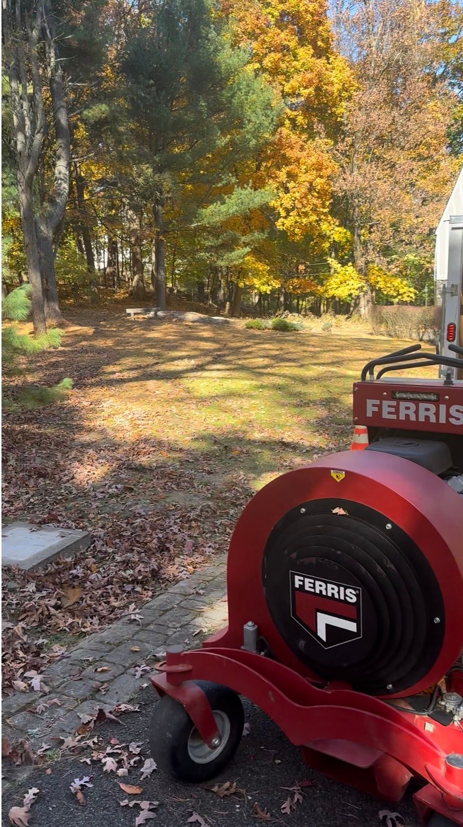 Red lawn mower clearing fallen leaves from a yard with autumn foliage in the background.
