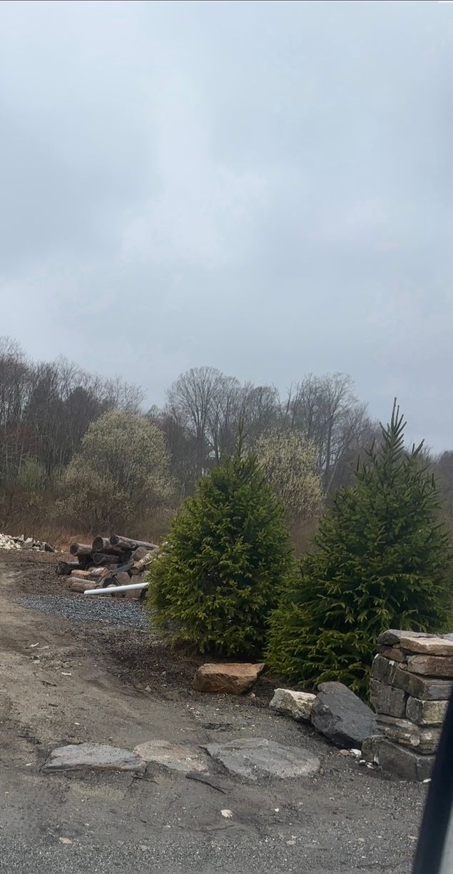 Gravel road leads to trees and a cloudy sky. Evergreen shrubs are in the foreground.