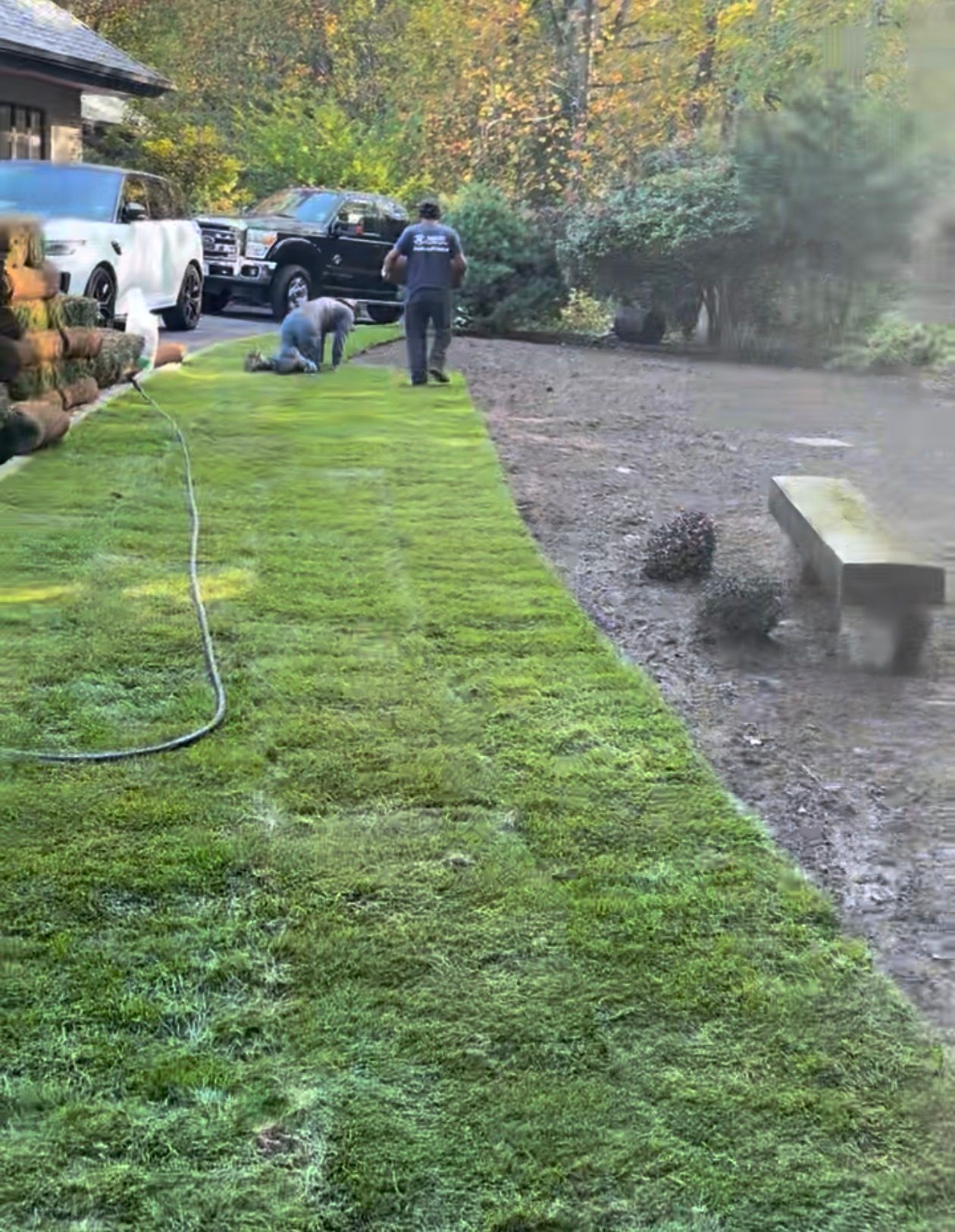 Workers laying sod in a yard with a bench, trucks, and trees in the background. Green grass and overcast sky.