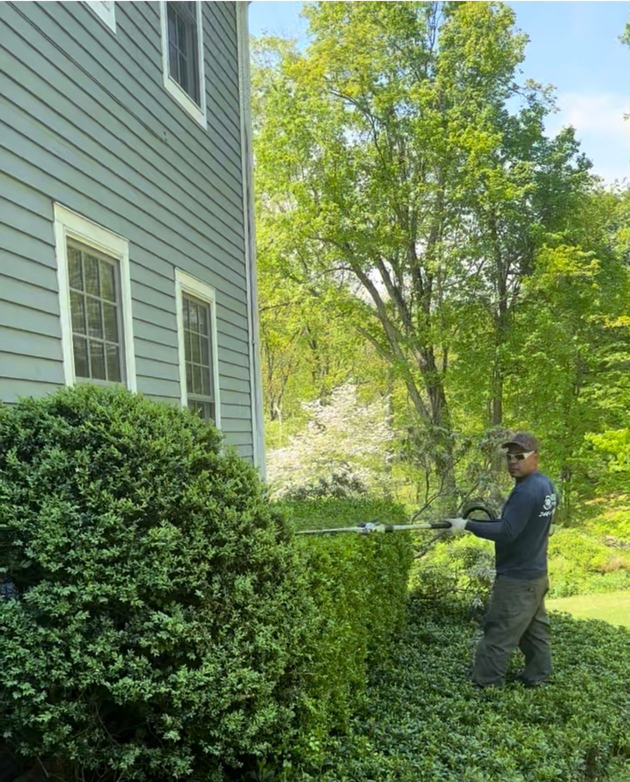 Man trimming hedges next to a house with electric hedge trimmers.