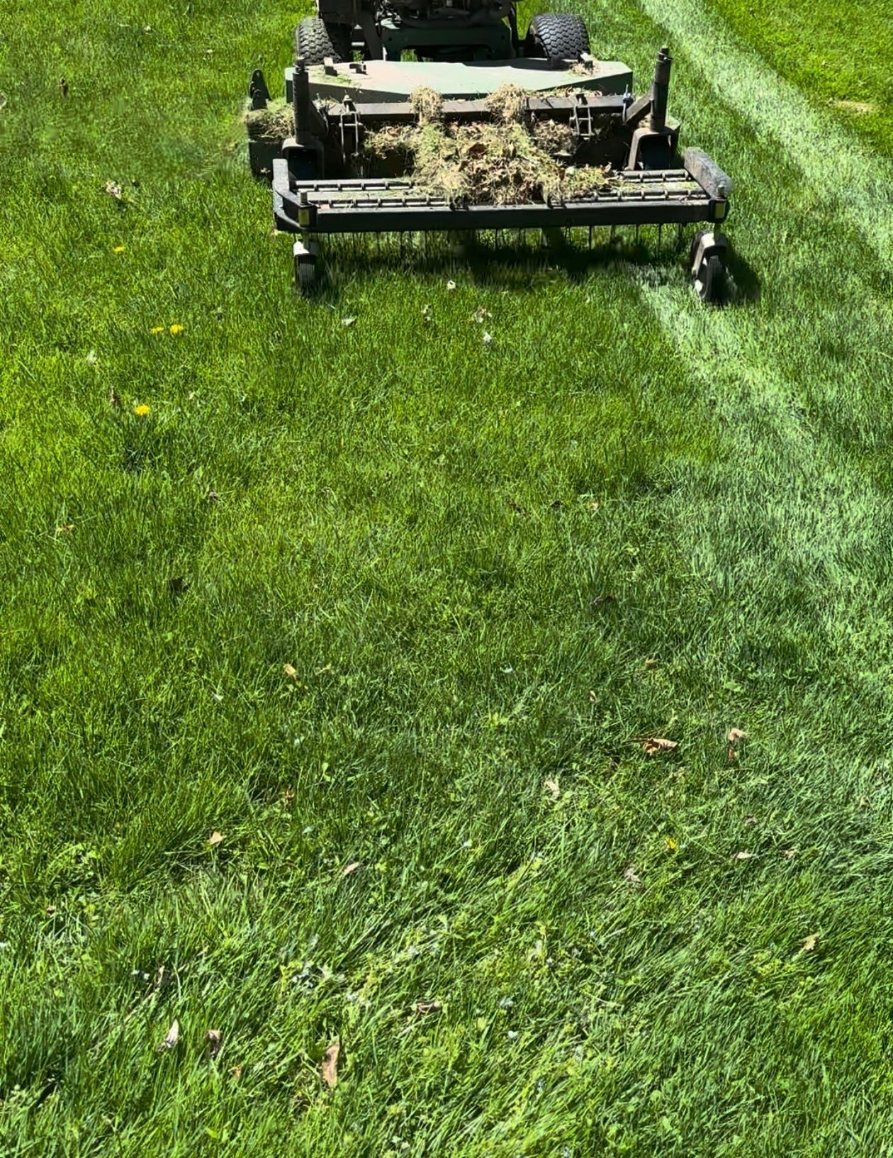 Lawn mower aerating green grass, leaving a stripe behind.