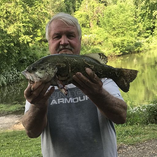 A man in an under armour shirt is holding a large fish in his hands.