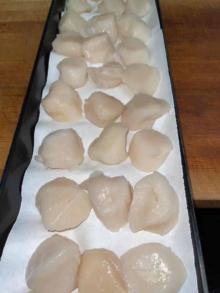 Raw, plump scallops arranged on parchment paper 