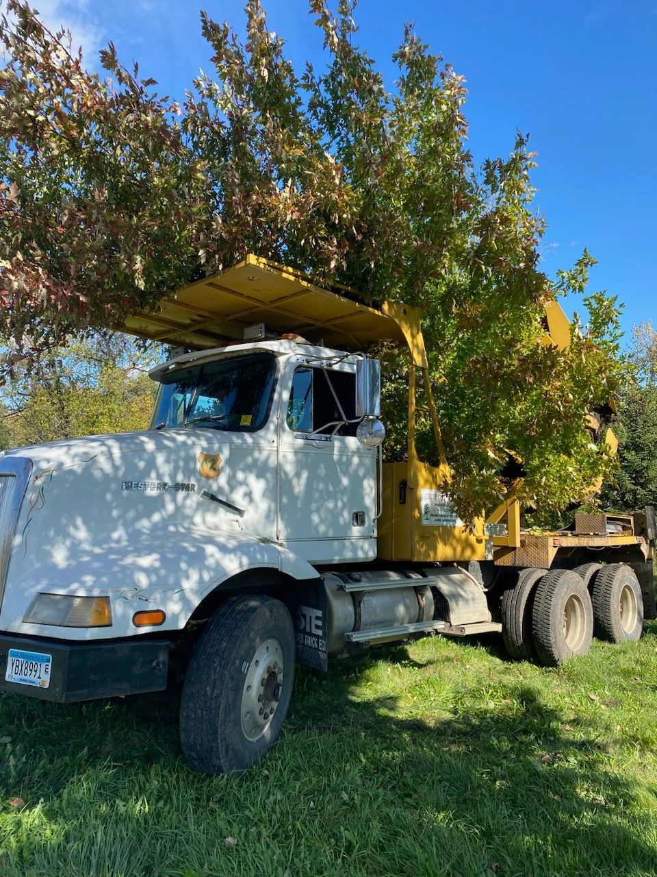 A white and yellow truck is loaded with tree debris