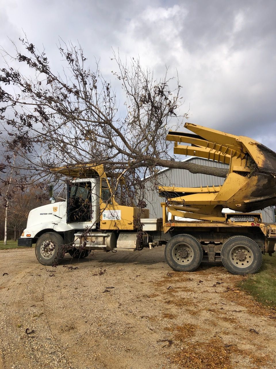 A white and yellow truck is loaded with a cut tree