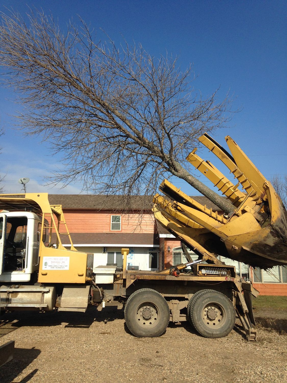 A white and yellow truck is loaded with a cut tree