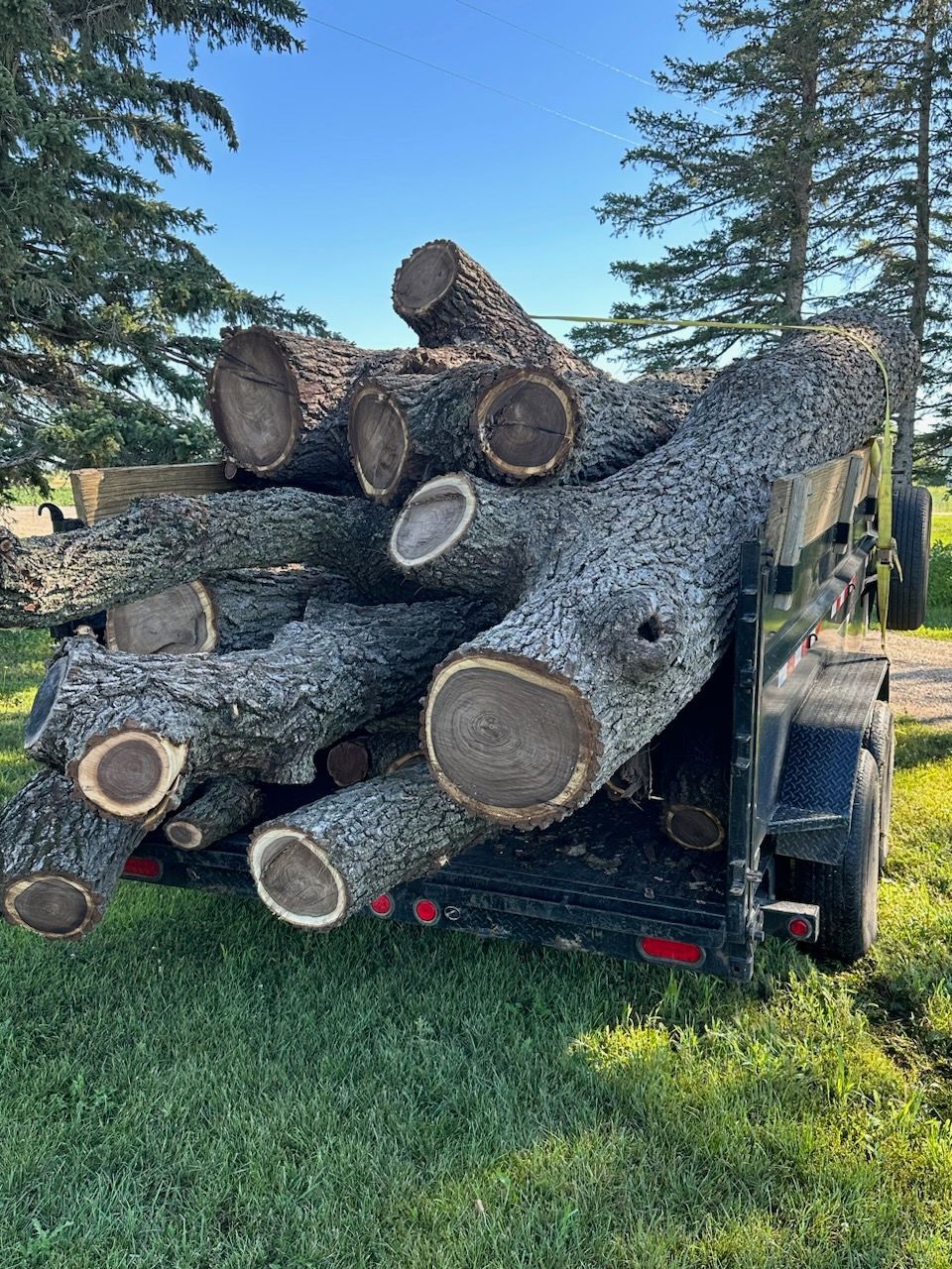 A trailer filled with logs is parked in a grassy field