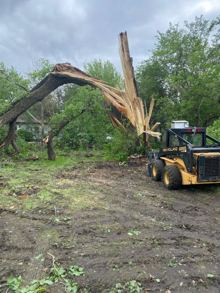 A bulldozer is being utilized to clear a damaged tree from a field