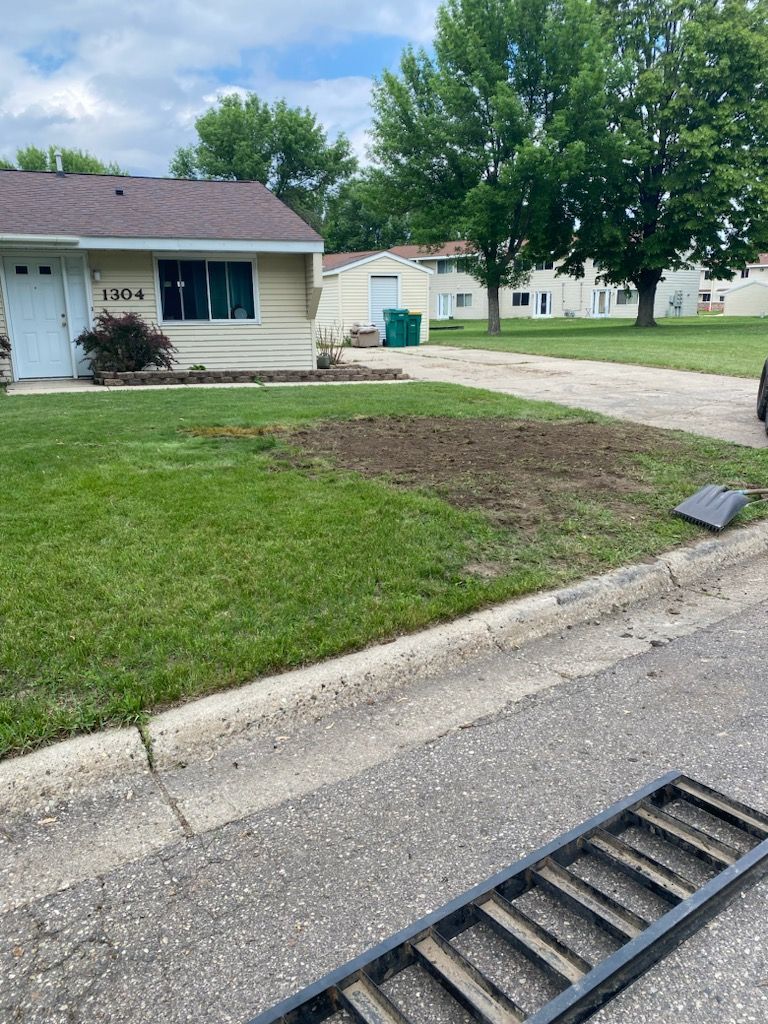 A lawn has a damaged section where a tree previously stood