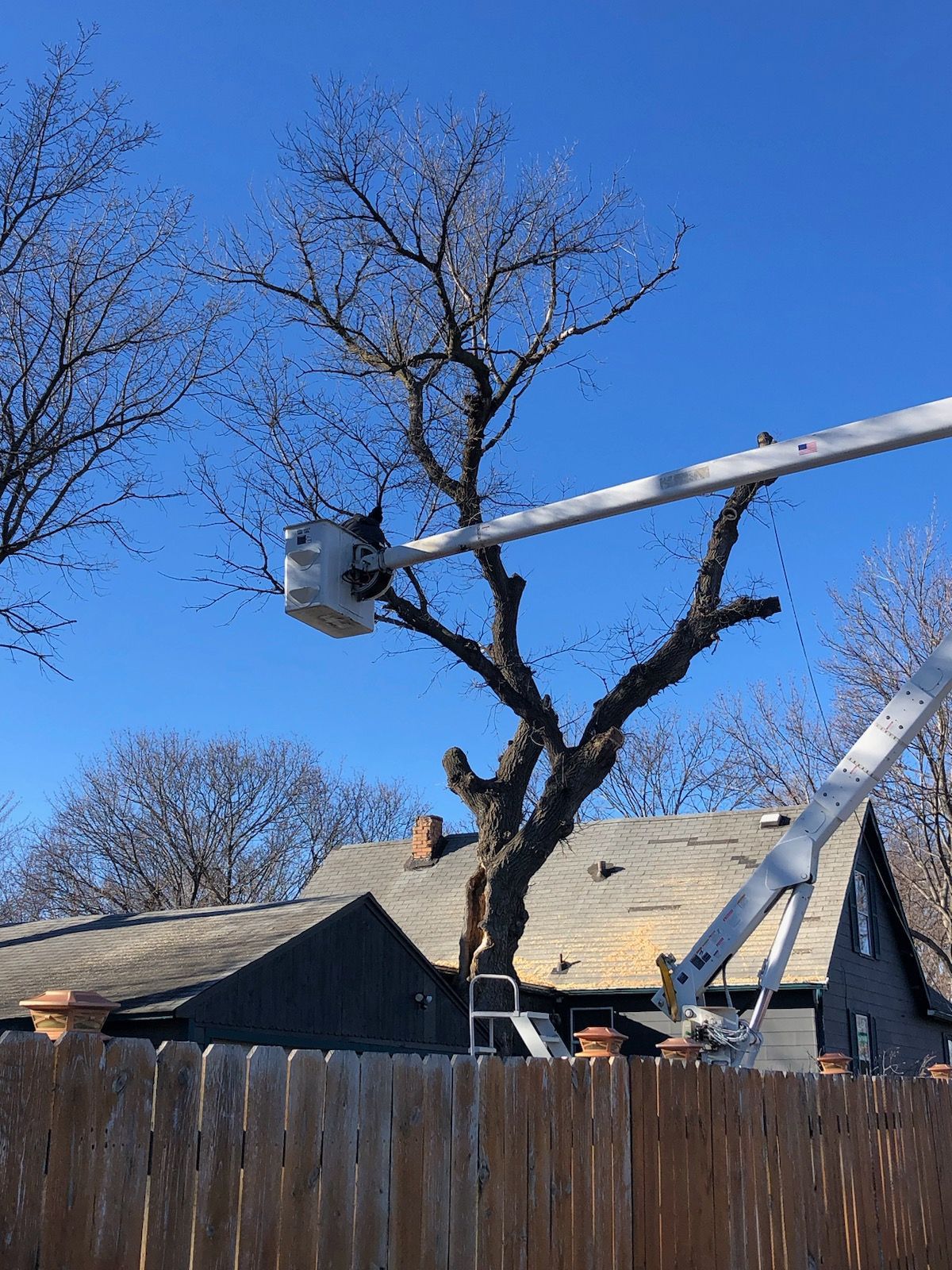 A man in a truck bucket is cutting a tree