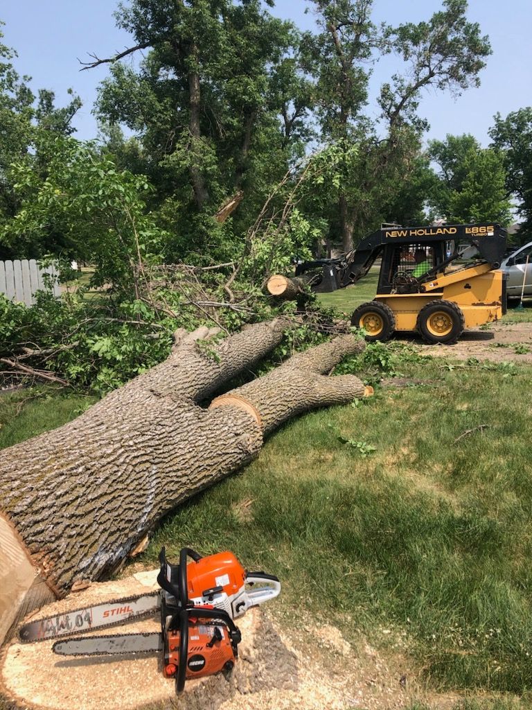 A chainsaw is sitting next to a tree trunk