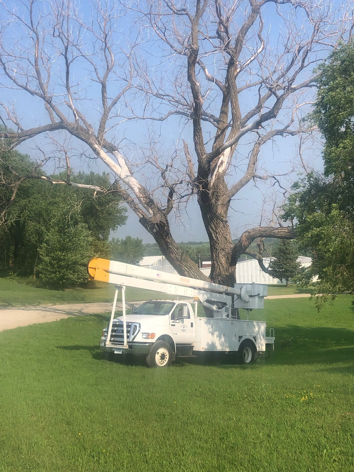 A white bucket truck is parked in front of a tree