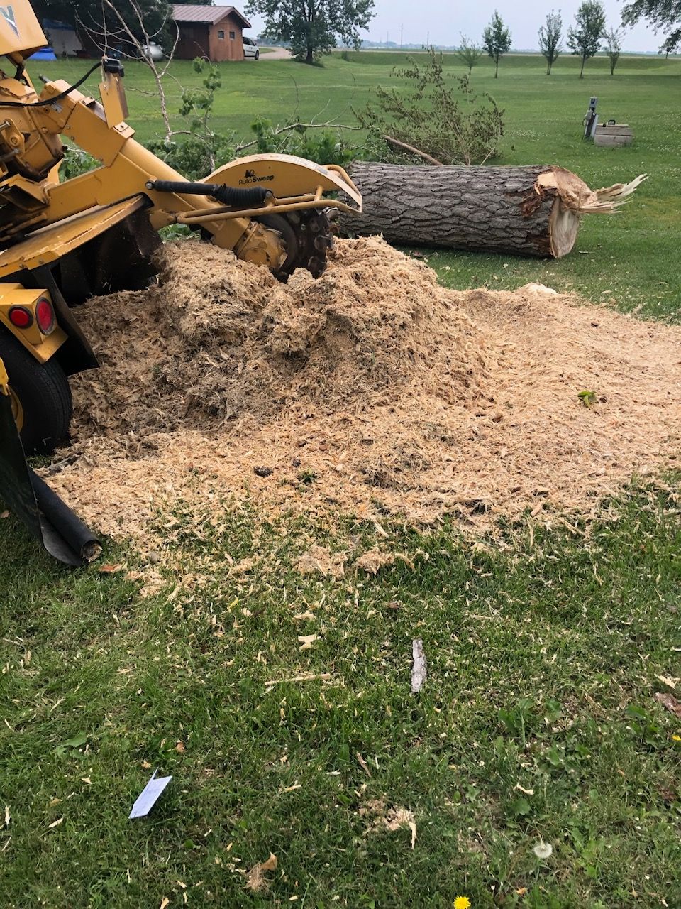 A stump grinder is grinding a tree stump