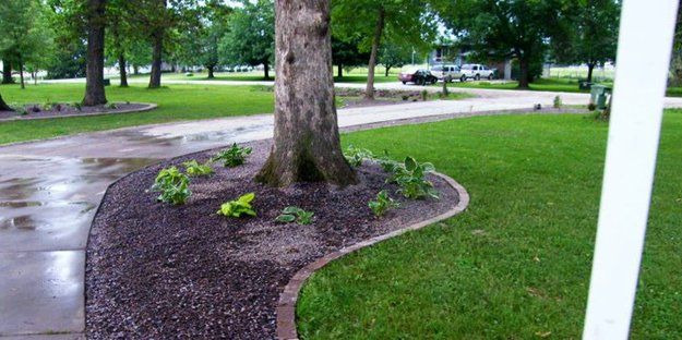 Landscaping & Tree Service