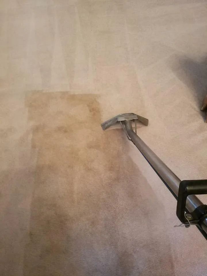 Carpet being cleaned with a cleaning tool, showing the difference in color before and after cleaning.