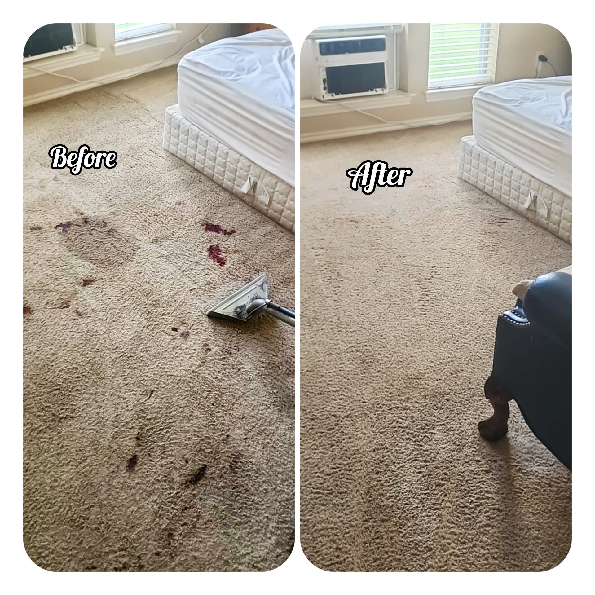 Before-and-after of carpet cleaning: dark stains on tan carpet cleaned, leaving a lighter color.