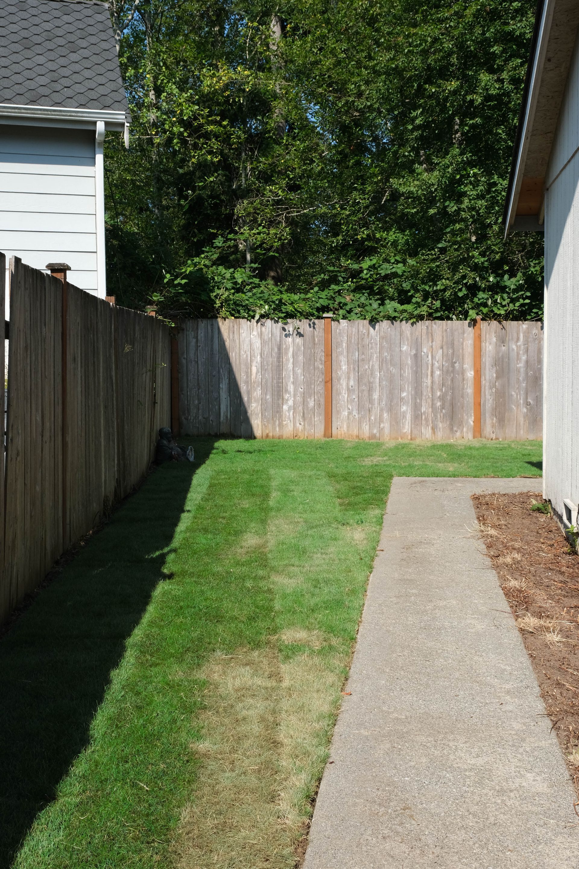 Narrow grassy backyard beside a concrete path, bordered by wooden fences and neighboring houses.