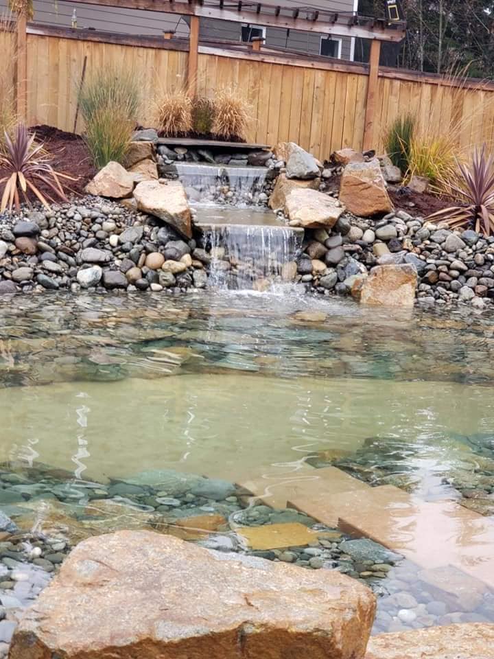 Small pond with tiered waterfall