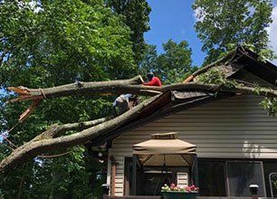 Storm Damage Removal