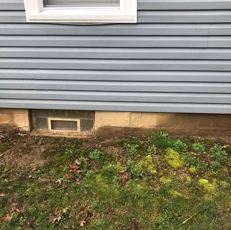 House siding with a small basement vent above a patchy, mossy yard.