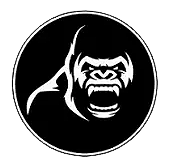 Kong performance logo