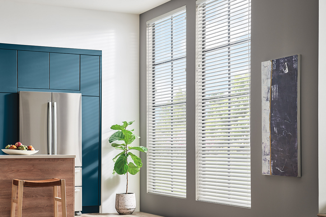 Horizontal Vinyl Blinds
