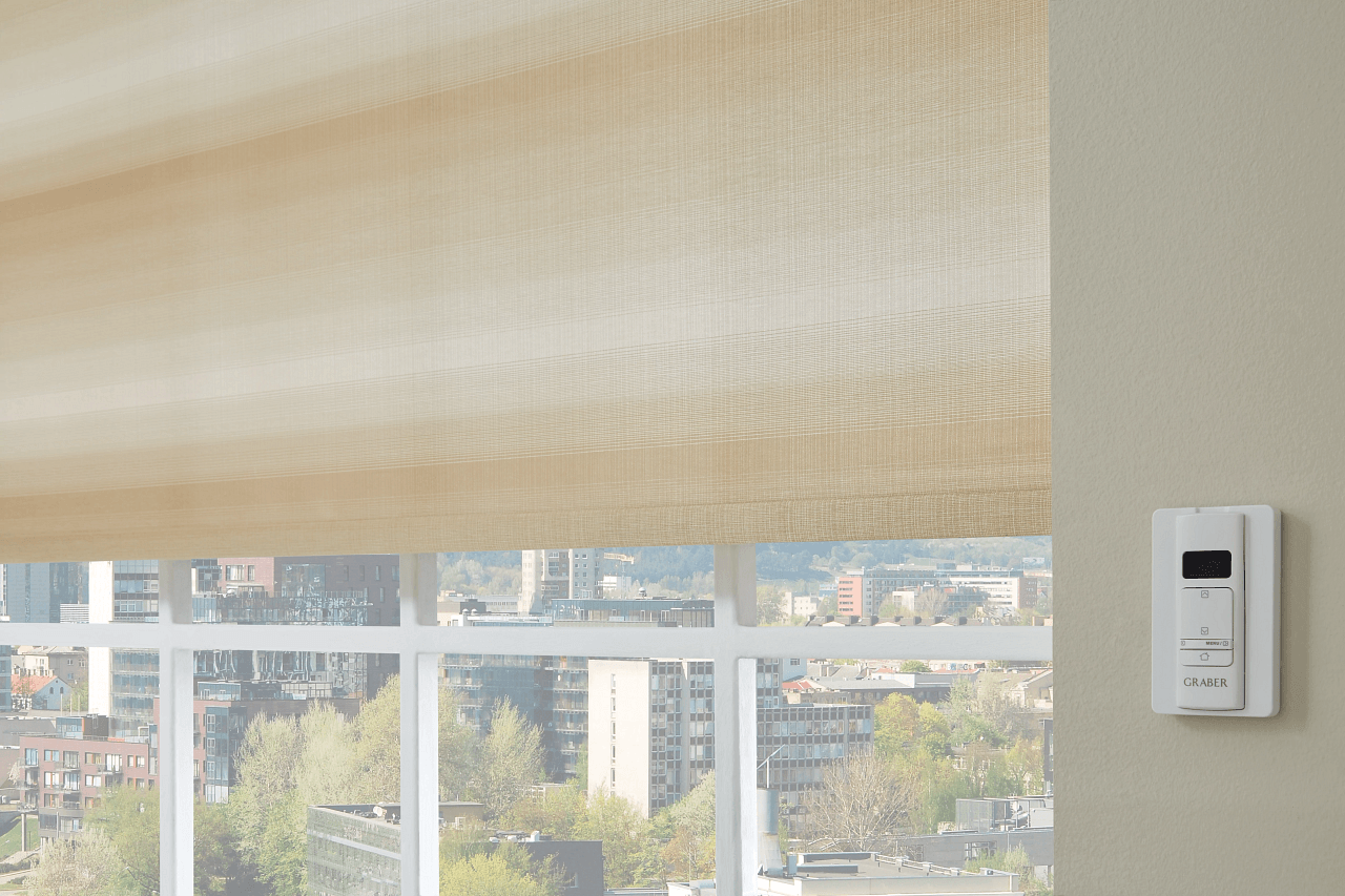 Roller Shades