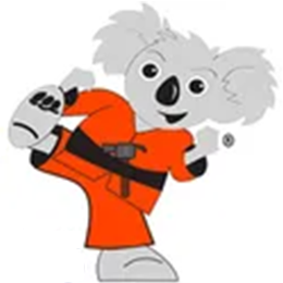 Siding Repair Systems