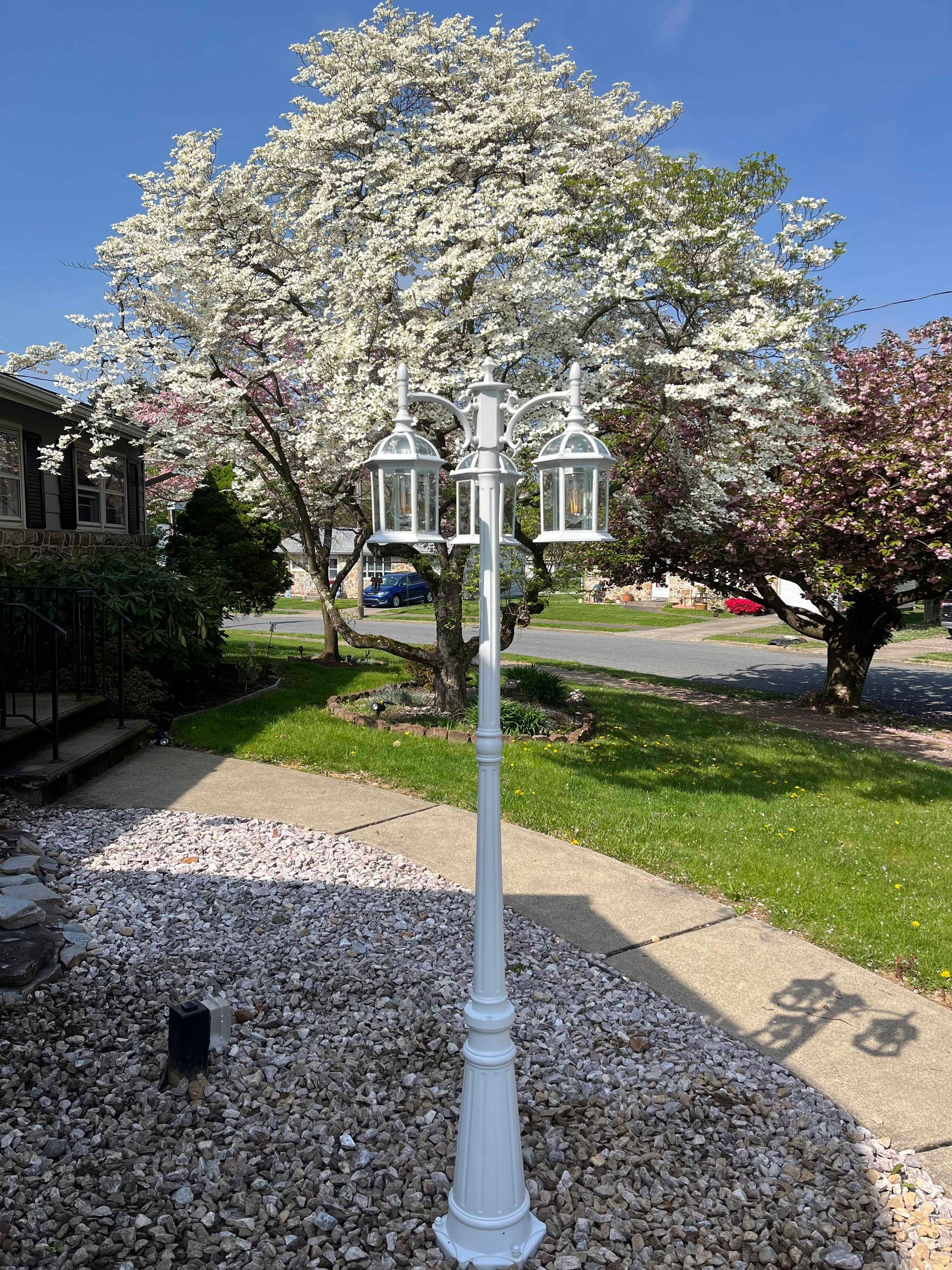 A white lamp post in front of a tree with white flowers.