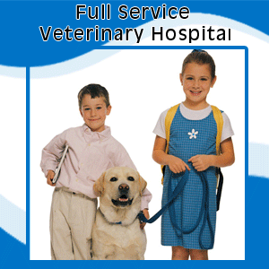 Veterinary - Burke, VA - Parkway Veterinary  - kids with dog - Full Service Veterinary Hospital