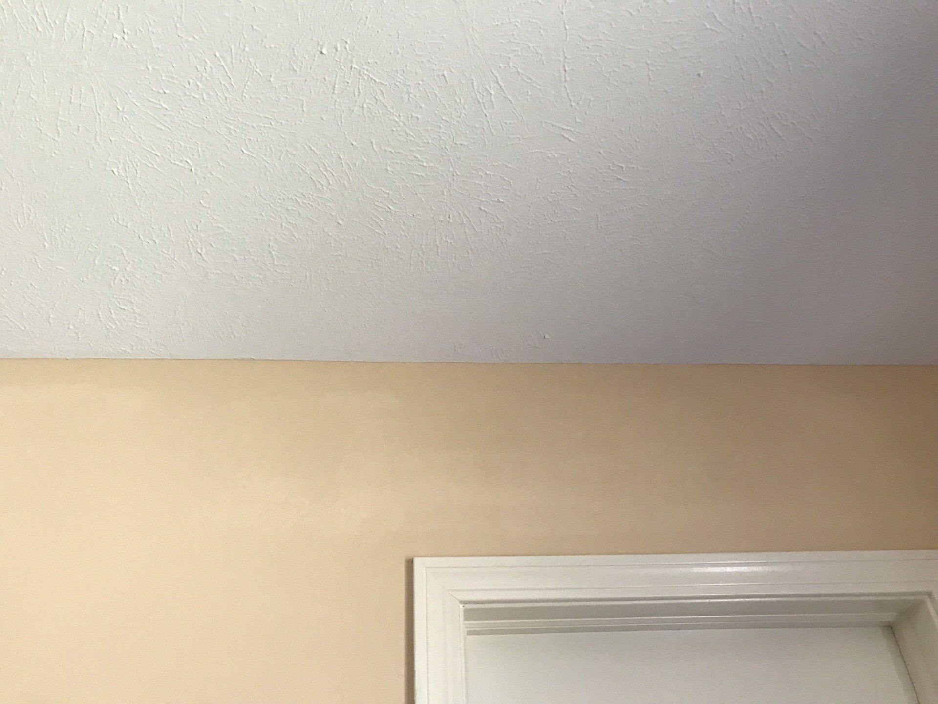 Professional Trim Installation and Staining