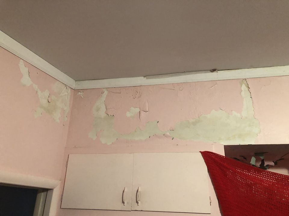 What Makes Paint Peel in My West Michigan Home?
