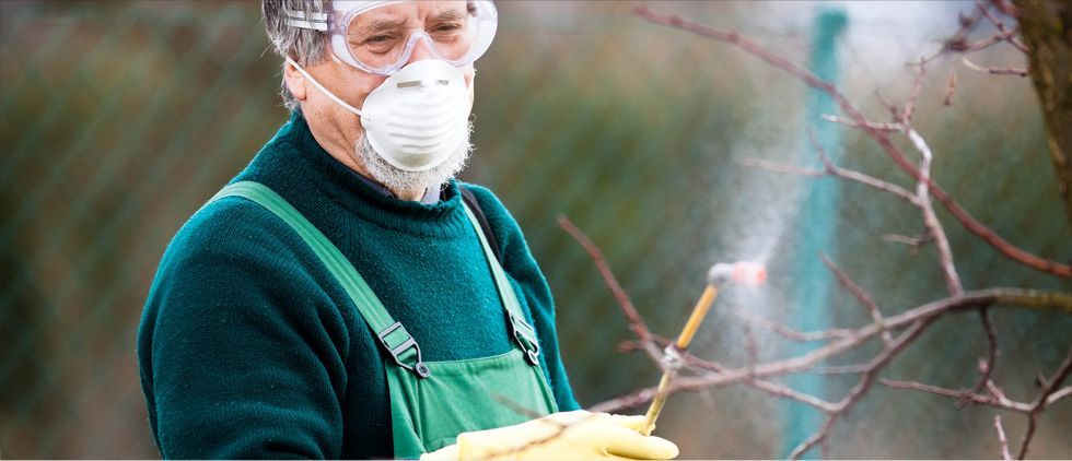 Staff spraying pest control